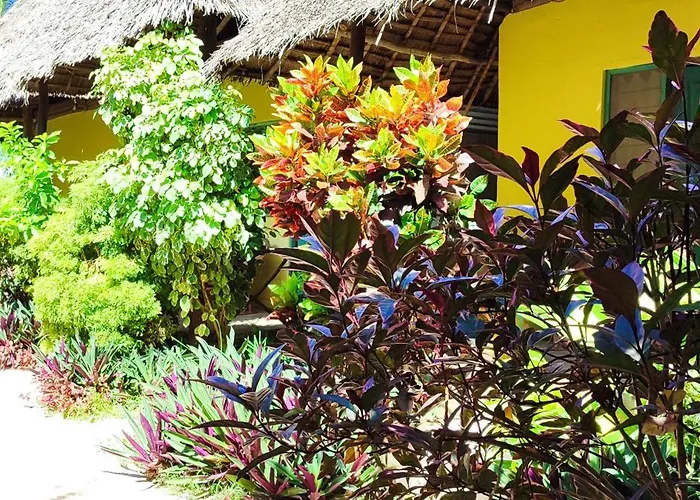 Morningstar Bungalows Zanzibar